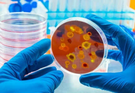 ​Еуропада қауіпті инфекция тарап жатыр