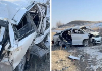 Алматы маңындағы жол-көлік оқиғасы: Үндістандық үшінші студент қайтыс болды