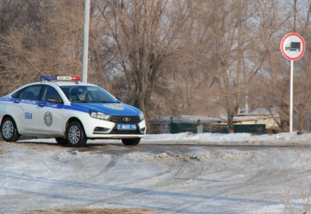 Павлодарда көлігімен ванна ұрлаған әйел ұсталды