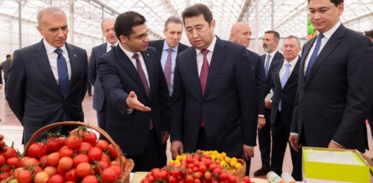 ​ШЫМКЕНТТЕ «ALSERA KZ» ЖЫЛЫЖАЙ КЕШЕНІНДЕ АЛҒАШҚЫ ҚЫЗАНАҚ ӨНІМІ ЖИНАЛДЫ