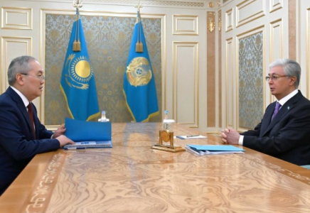 Мемлекет басшысы Жанат Элимановты қабылдады