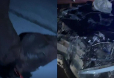 Астана маңындағы жолда жеңіл көлік жылқыға соғылды: Зардап шеккендер бар 