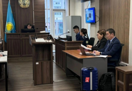 ​Бишімбаевтың анасын 1 млн долларға жуық сомаға алдаған туысы сотталды