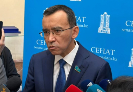 ​Вице-президенттің тағдыры Құрылтайдан кейін шешіледі – Әшімбаев  