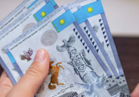 Павлодарда шенеунік жүкті әйелдерді "жұмысқа тұрғызып", 200 млн теңге жәрдемақы алған