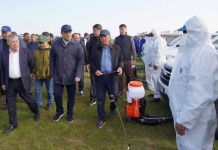  Түркістан облысында шегірткеге қарсы күрес күшейді