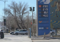 Депутат көлік жүргізушілеріне өтемақы беруді ұсынды