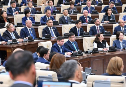 Құрылтай жанынан 50 адамнан тұратын Қоғамдық палата құрылады