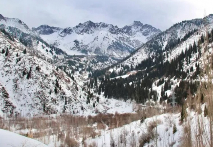 Алматы тауларында қарулы ер адам ұсталды