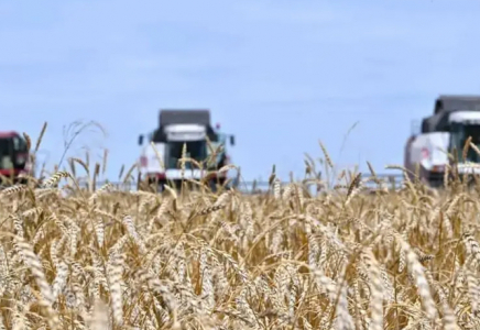 ​Ауыл шаруашылығы субсидиясы бойынша берешек 300 млрд теңгеден асты