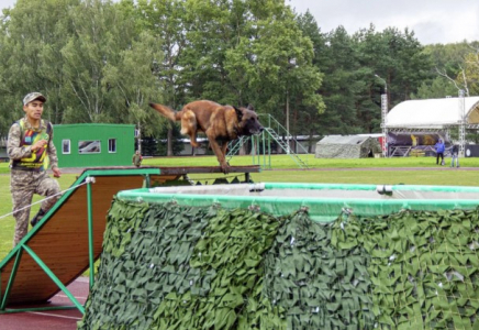 Қазақстан кинологтары одағы FCI мүшелігіне қабылданды