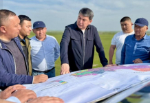 ТҮРКІСТАН: Келесте шегіртке және зиянкестермен күрес жөніндегі штаб отырысы өтті