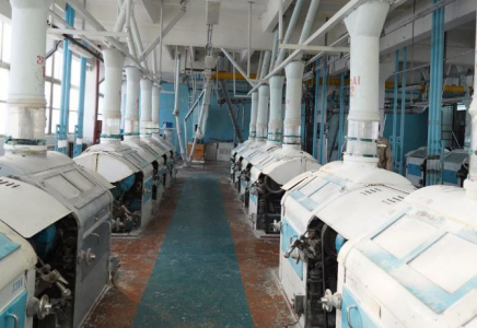 ТҮРКІСТАН: Түлкібаста 32 жоба іске асырылады