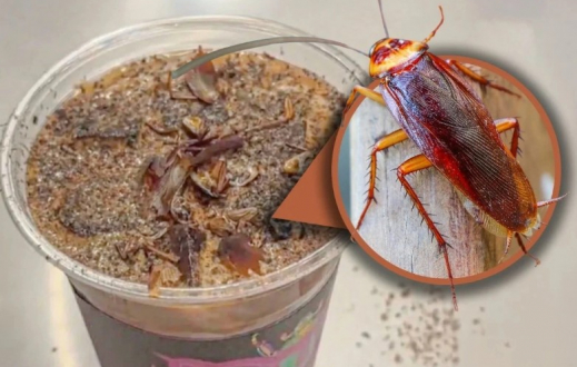 ​Қытайда тарақан мен құрттар қосылған кофе трендке айналды