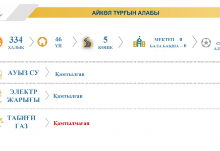ШЫМКЕНТ: Айкөл тұрғын алабы электр жарығымен толық қамтылған