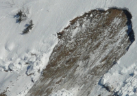 Бурятиядағы шахтада болған қайғылы оқиға: қаза тапқандар арасында қазақстандық бар