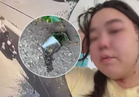 Павлодарда баласымен кетіп бара жатқан әйелдің басына әлдекімдер мұз лақтырған