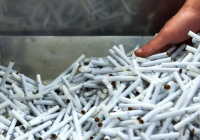 ​Шетел азаматы Қазақстан аумағына 2 мың қорап темекіні атпен заңсыз алып кірмек болған