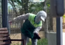 ​ТАЗА ҚАЛА – ЖАЙЛЫ ОРТА: Шымкент көшелерінде кешенді тазалық жұмысы жүруде