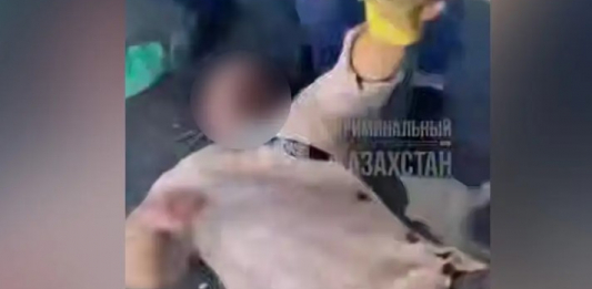 Жетісу облысында сатушылар арасындағы дау төбелеске ұласқан: полиция қылмыстық іс қозғады