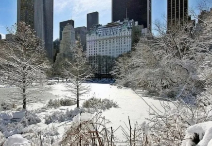 АҚШ-та қарлы боранда отыз шақты адам көз жұмды