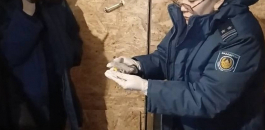Ақмола облысының тұрғынынан 280 түйіншек мефедрон тәркіленді