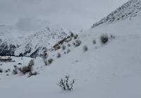 Алматы облысында екі баласы бар отбасы қар құрсауында қалды