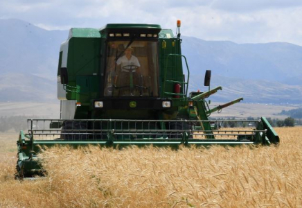 «Ауыл аманаты»: Түркістан облысында 5 мыңға жуық жаңа жұмыс орны ашылды