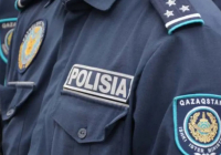 69 бала қаза тапқан: ІІМ ата-аналарға үндеу жасады