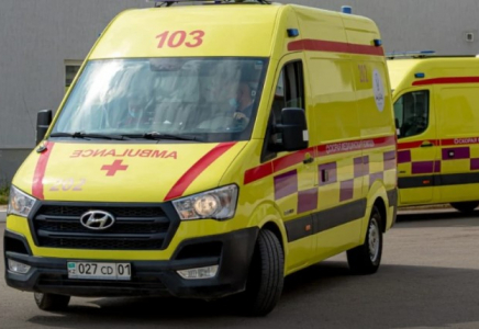 Рудныйда екі жасар қыз баланы көлік қағып кетті: бүлдіршіннің қаза болғаны расталды 