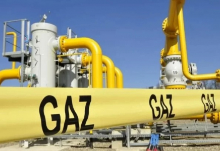 Өзбекстанда ірі газ кен орны табылды