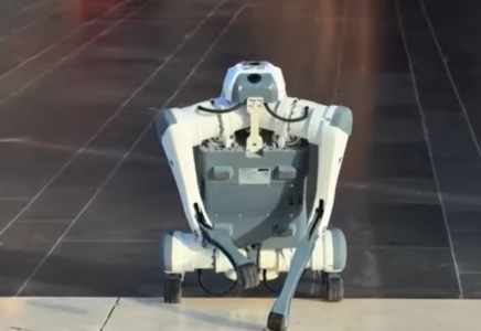 Астанада робот иттер жұмысқа шықты (ВИДЕО)