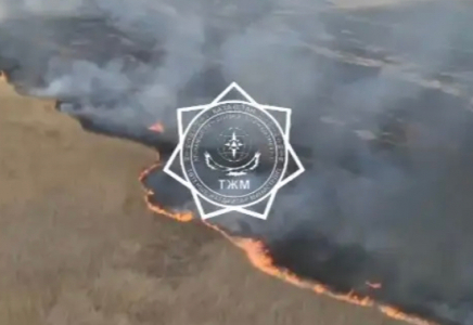 2500 гектарды шарпыған - Атырау облысында қамыс өртеніп жатыр