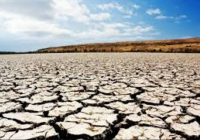 Климатқа бейімделген жер пайдалану тәжірибелері 2026 жылғы Өңірлік экологиялық саммитте талқыланады