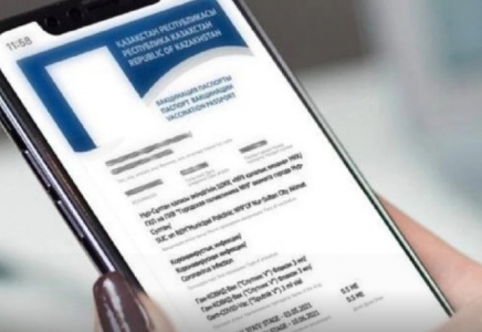 Цифрлық медициналық кітапша: Қазақстанда жаңа сервис іске қосылды 