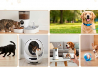 ​Үй жануарларына да арналған гаджеттер бар