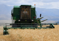 «Ауыл аманаты»: Түркістан облысында 5 мыңға жуық жаңа жұмыс орны ашылды