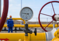 ТҮРКІСТАН: Тілсіз жаудан 18 адам қаза болды