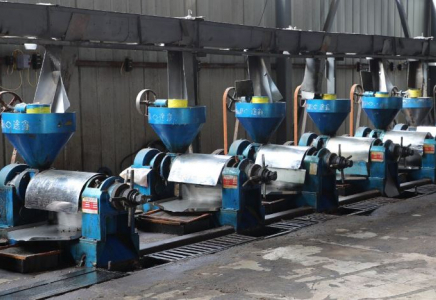 ТҮРКІСТАН: Мақтааралда майлы дақыл өңдейтін зауыт іске қосылды