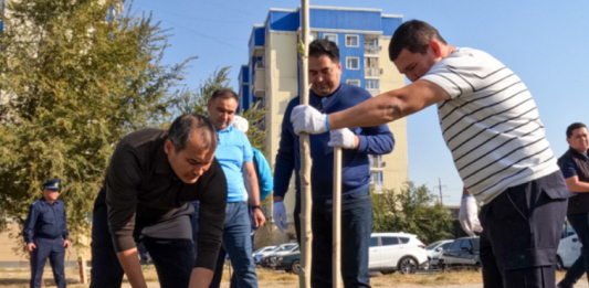 ​АКИМ ШЫМКЕНТА ПРИНЯЛ УЧАСТИЕ В ПОСАДКЕ ДЕРЕВЬЕВ ВМЕСТЕ С ЖИТЕЛЯМИ