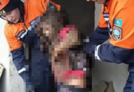 Жамбыл облысында 11 жастағы қыз бала көшедегі дәретханаға түсіп кетті