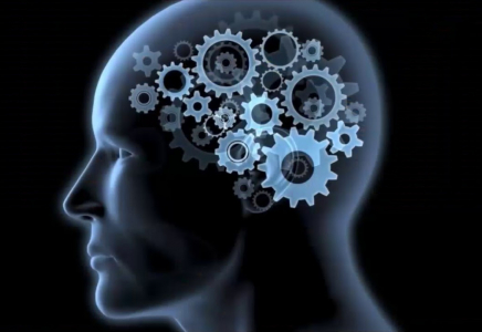 Әлемді таңғалдырған дарындар: ЕҢ жоғары IQ иеленген ТОП 5 студент