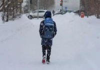 Қостанай облысында аязға байланысты 1-сынып оқушылары қашықтықтан оқиды