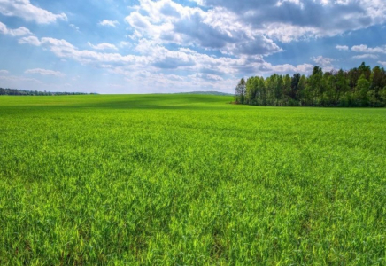 Алматы облысында экс-әкім Баталовтың қызынан 339 миллион теңгенің жері қайтарылды