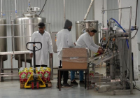 ТҮРКІСТАН: Түлкібаста жеміс-жидекті терең өңдейтін зауыт ашылды