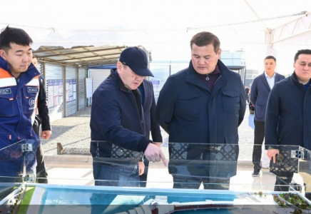 Премьер-министрдің бірінші орынбасары Қызылорда облысындағы әлеуметтік-инфрақұрылымдық жобалардың құрылыс барысын тексерді