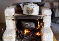 Көкшетауда анасы мен екі бала ысқа уланып қалды