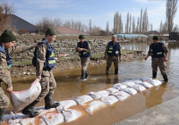 Тараз қаласында тұрғын үйлерді су басты