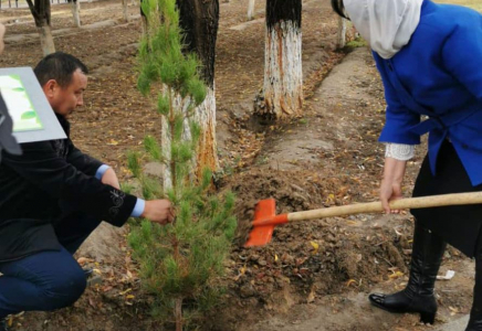 Түркістандағы мектептерде «Green challenge» ағаш отырғызу іс-шарасы өтті
