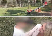 "Аузында қанға толған дәке": Қарағанды облысында бүлдіршін балабақшада жарақат алды